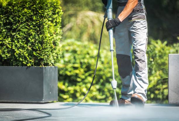 Best Animal Enclosure Cleaning  in Licking, MO